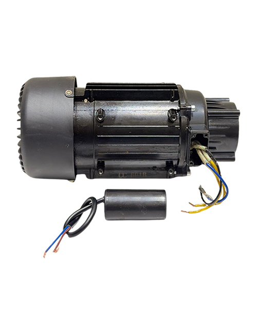 Pressure Washer Motor